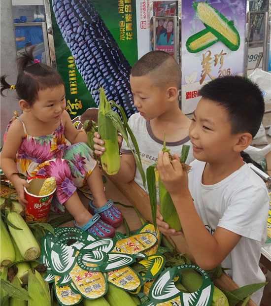 親子游